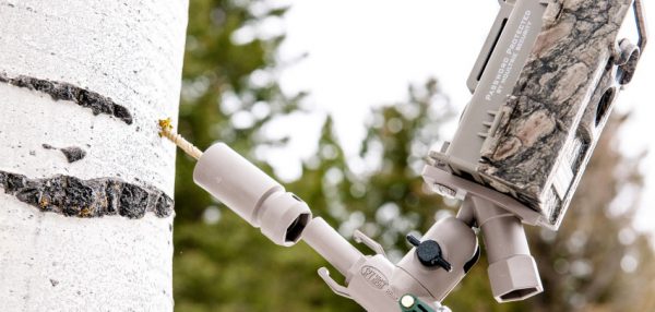 Spy High Camera Mount & Tree Attachment
