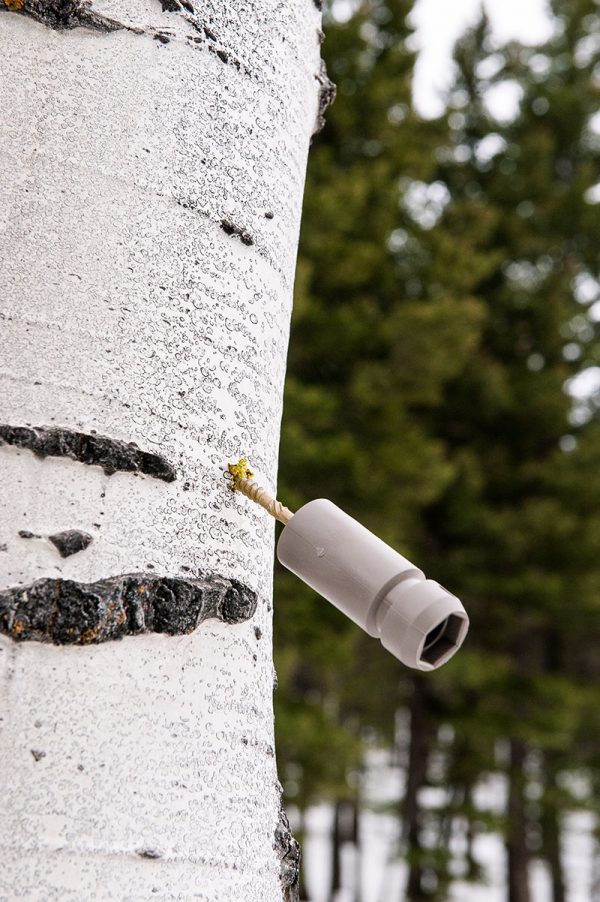 Spy High Tree Attachment